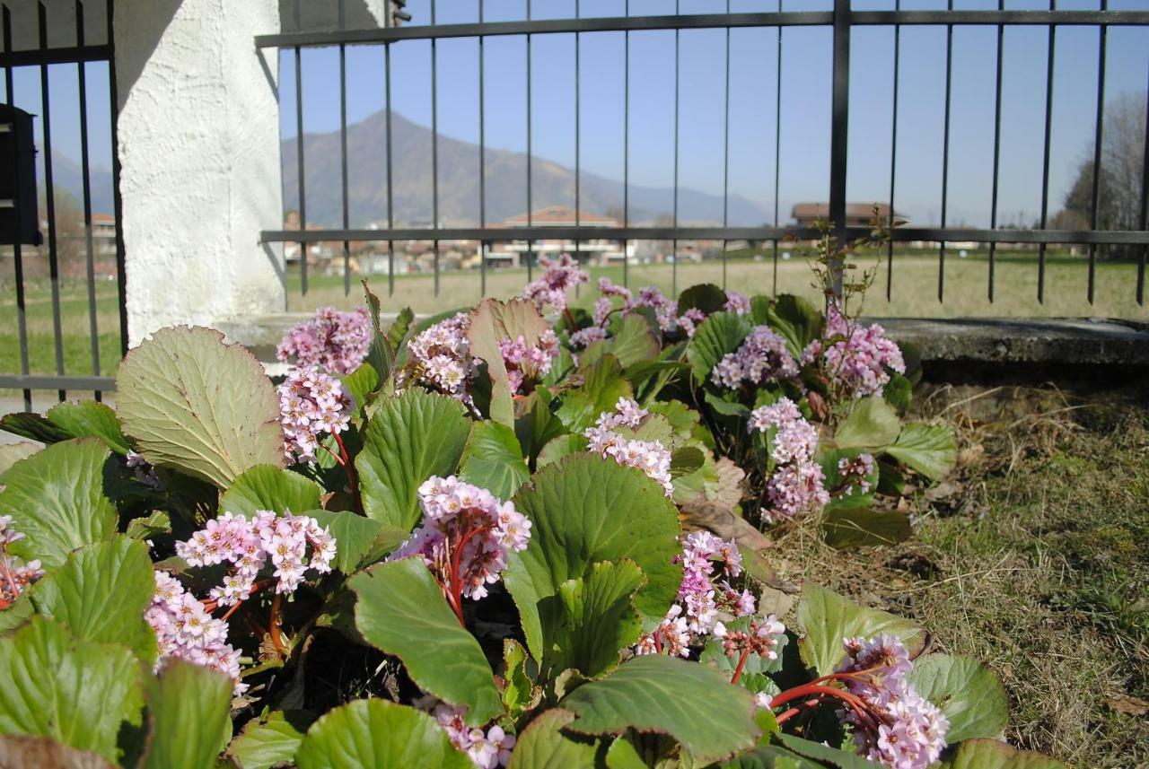 Villa Mirelìa Rosta Esterno foto